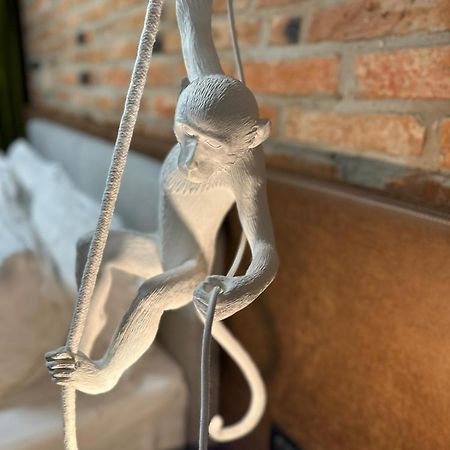 Nani Nani Boutique 호텔 브라쇼브 외부 사진