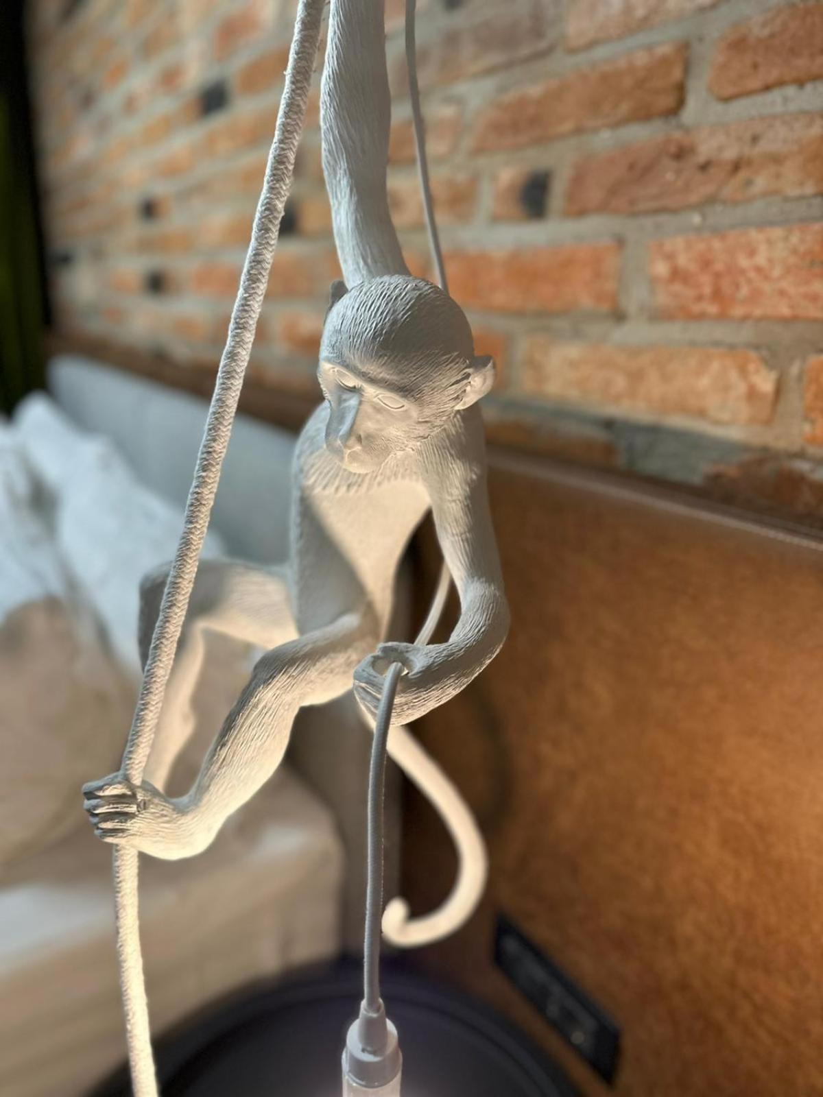 Nani Nani Boutique 호텔 브라쇼브 외부 사진